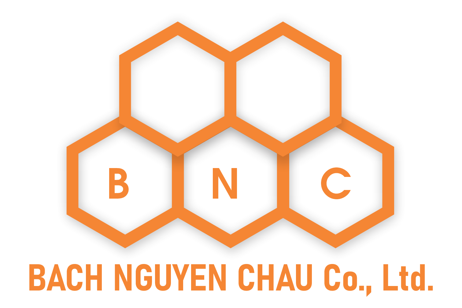 BACH NGUYEN CHAU COMPANY LIMITED