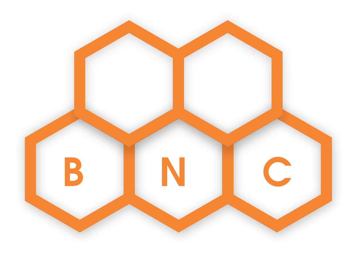 BACH NGUYEN CHAU COMPANY LIMITED